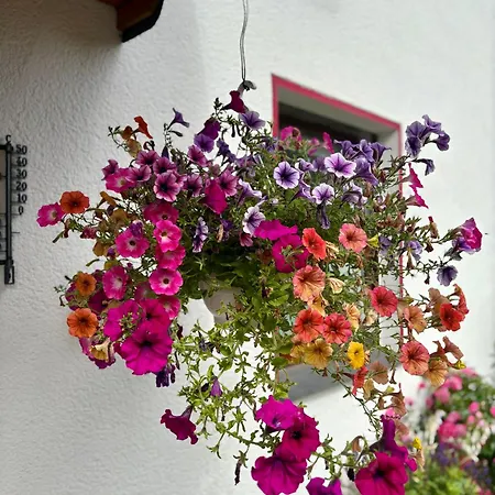 Lejlighed Linneweber