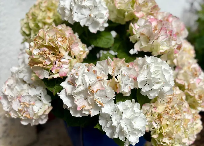 Appartement Linneweber Willingen (Upland)